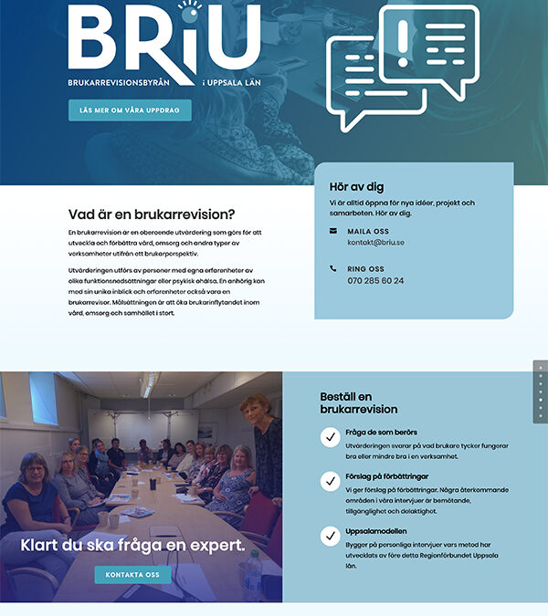 Briu- Brukarrevision